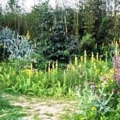 Jardin en mouvement Parc André Citroën, image copyleft Jardin en mouvement Parc André Citroën