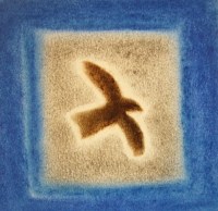 dessin à la craie d'un milan noir