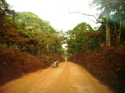 Photographie : Serge Marcel Roche Transport de bois