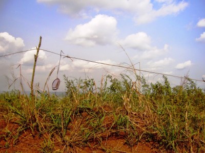 Photo : Serge Marcel Roche