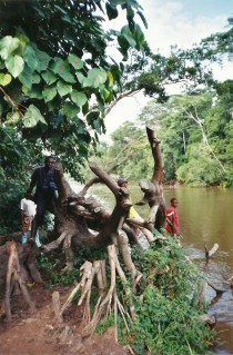 photo serge marcel roche sur la rive