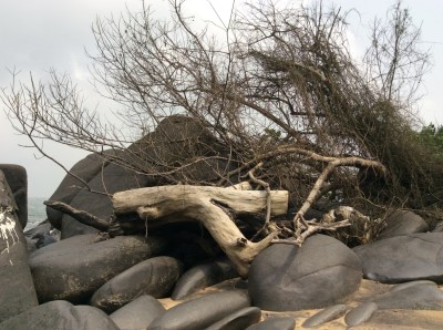 installation océanique 2