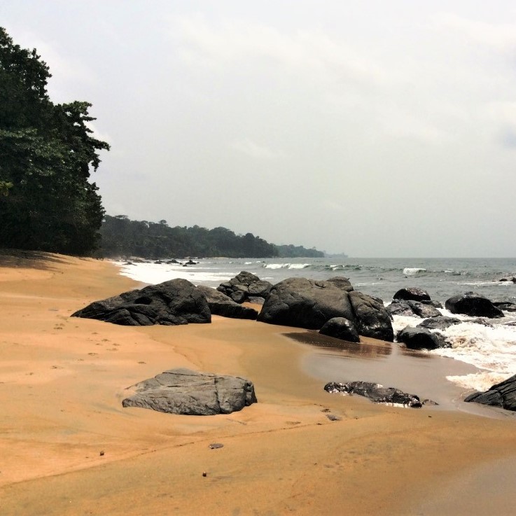 Une plage du littoral atlantique au Cameroun, avec une bordure d'arbres et des roches grises au premier plan.